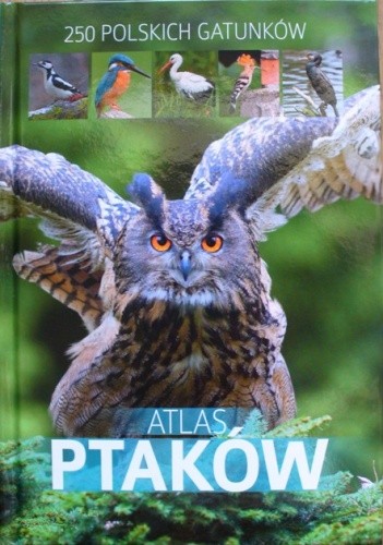 Atlas ptaków. 250 polskich gatunków