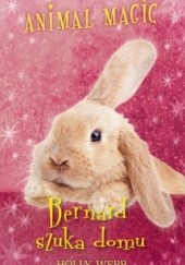 Okładka książki Animal Magic. Bernard szuka domu Holly Webb