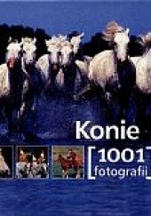 Okładka książki Konie. 1001 fotografii praca zbiorowa