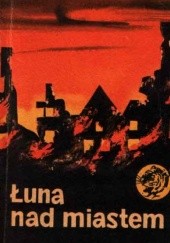 Okładka książki Łuna nad miastem Anna Wawrzycka