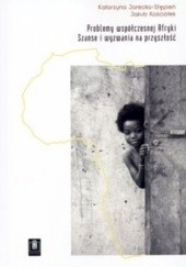 Okładka książki Problemy współczesnej Afryki. Szanse i wyzwania na przyszłość Katarzyna Jarecka-Stępień, Jakub Kościółek