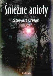 Okładka książki Śnieżne anioły Stewart O'Nan