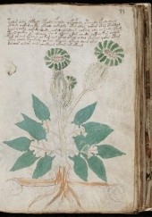 Okładka książki Manuskrypt Voynicha autor nieznany