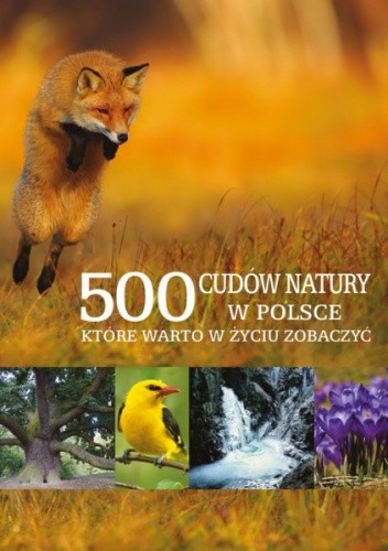 500 cudów natury w Polsce, które warto w życiu zobaczyć