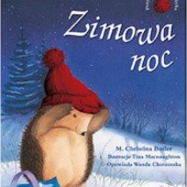 Okładka książki Zimowa noc Christina M. Butler, Tina Macnaughton