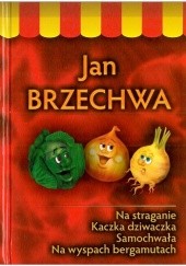 Okładka książki Na straganie ; Kaczka dziwaczka ; Samochwała ; Na wyspach Bergamutach Jan Brzechwa