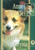 Okładka książki Przypadkowy turysta Anne Tyler
