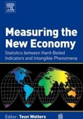 Okładka książki Measuring the New Economy Teun Wolters