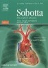 Sobotta. Atlas anatomii człowieka. Tom 2. Tułów, narządy wewnętrzne, kończyna dolna