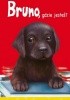 Okładka książki Bruno, gdzie jesteś? Agnieszka Stelmaszyk