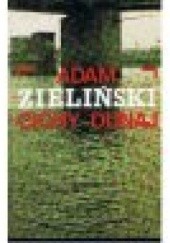 Okładka książki Cichy Dunaj Adam Zieliński