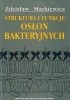 Okładka książki Struktura i funkcje osłon bakteryjnych Zdzisław Markiewicz