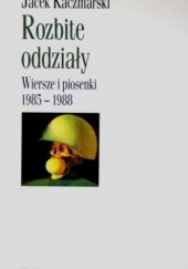 Okładka książki Rozbite oddziały. Wiersze i piosenki 1985-1988