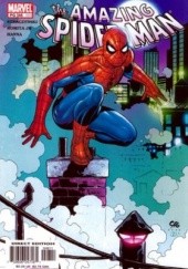 Okładka książki Amazing Spider-Man Vol 2 # 48 - A Spider's Tale John Romita Jr., Joseph Michael Straczynski