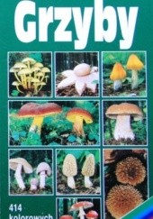 Okładka książki Grzyby. Przewodnik do poznawania i oznaczania grzybów Europy Środkowej Edmund Garnweidner