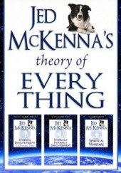 Okładka książki Jed McKennas Theory of Everything: The Enlightened Perspective Jed McKenna