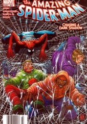 Okładka książki Amazing Spider-Man Vol 1 # 503 - Chasing A Dark Shadow, Part I Fiona Avery, John Romita Jr., Joseph Michael Straczynski
