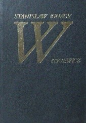 Okładka książki Nienasycenie Stanisław Ignacy Witkiewicz
