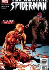 Amazing Spider-Man Vol 1# 516 - Skin Deep, Part 2