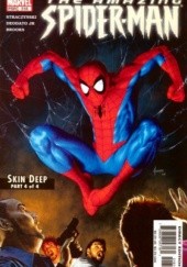 Amazing Spider-Man Vol 1# 518 - Skin Deep, Conclusion