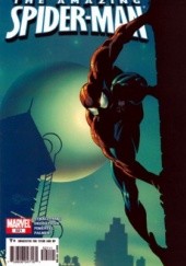 Okładka książki Amazing Spider-Man Vol 1# 521 - New Avengers (Part 3): Unintended Consequences Mike Deodato Jr., Joseph Michael Straczynski