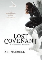 Okładka książki Lost Covenant Ari Marmell