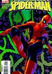Okładka książki Amazing Spider-Man Vol 1 # 524 - New Avengers Part 6: All Fall Down Mike Deodato Jr., Joseph Michael Straczynski