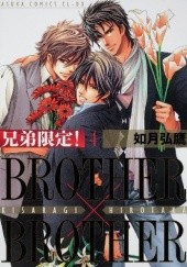 Okładka książki Brother x Brother #4 Hirotaka Kisaragi