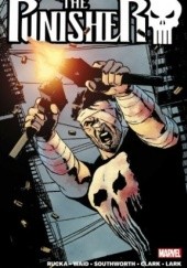 The Punisher by Greg Rucka Vol.2