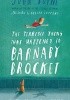 The Terrible Thing That Happened to Barnaby Brocket