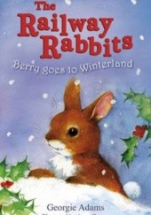 Okładka książki Berry Goes to Winterland Georgie Adams