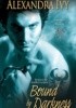 Okładka książki Bound By Darkness Alexandra Ivy