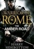 The Amber Road