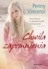 Okładka książki Chwila zapomnienia Penny Vincenzi