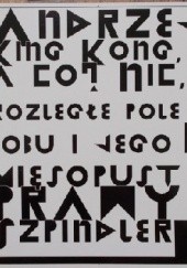 Okładka książki Andrzej King Kong, a co? Nic, rozległe pole bobu i jego mięsopust prawy Szpindler Andrzej Szpindler