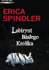 Okładka książki Labirynt Białego Królika Erica Spindler