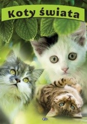 Okładka książki Koty świata praca zbiorowa