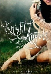 Okładka książki Knight Angels: Book of Love Abra Ebner