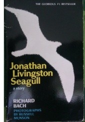 Okładka książki Jonathan Livingston Seagull Richard Bach