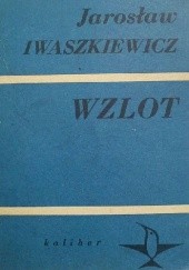 Okładka książki Wzlot Jarosław Iwaszkiewicz