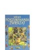 Okładka książki Wielkie poszukiwania zwierząt Caroline Young