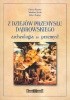 Okładka książki Z dziejów przemysłu dąbrowskiego. Archeologia, przemysł. Katalog wystawy Robert Bodnar,&nbsp;Dariusz Rozmus,&nbsp;Paweł Rybak