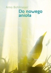 Okładka książki Do nowego anioła Arno Bohlmeijer