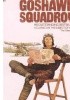 Okładka książki Goshawk Squadron Derek Robinson