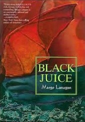 Okładka książki Black Juice Margo Lanagan