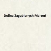 Okładka książki Dolina Zagubionych Marzeń Liliana Bardijewska