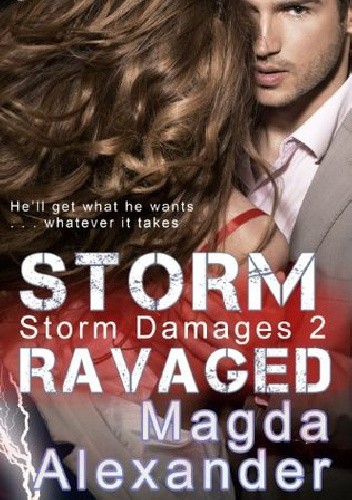 Okładki książek z cyklu Storm Damages