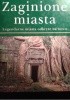 Okładka książki Zaginione miasta. Legendarne miasta odkryte na nowo. Brenda Rosen