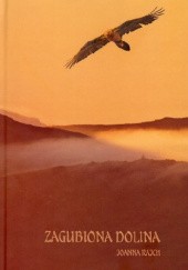 Okładka książki Zagubiona Dolina Joanna Rajch
