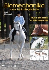 Biomechanika ruchu konia dla jeźdźców: Klucz do jazdy w równowadze